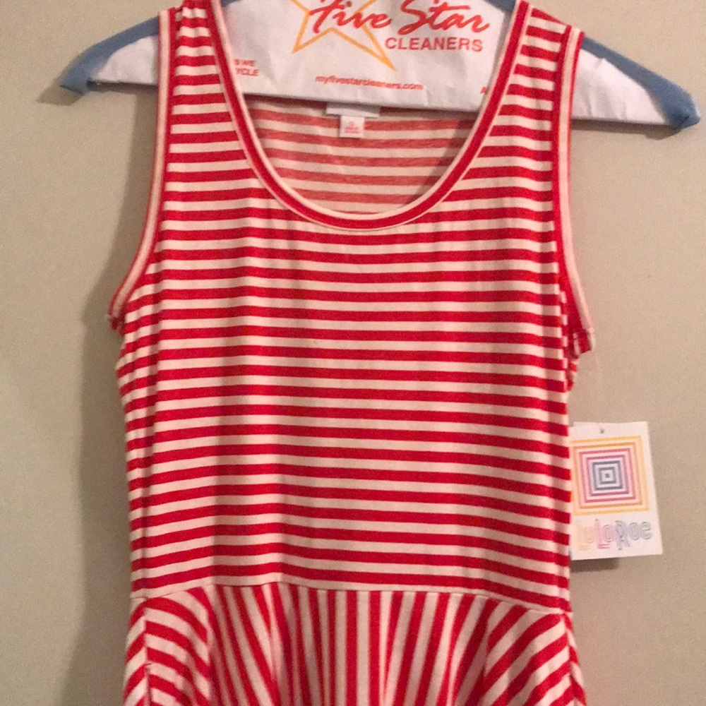 LulaRoe Nicki Dress